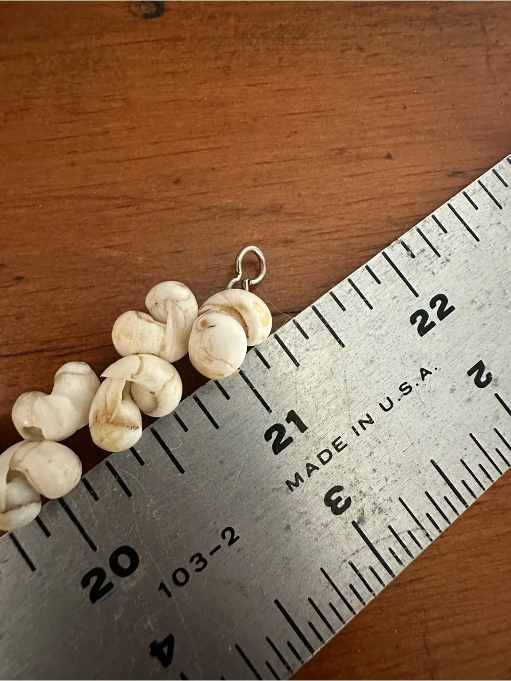 Bold Ocean Shell Necklace